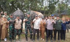 berita-pilihan-foto